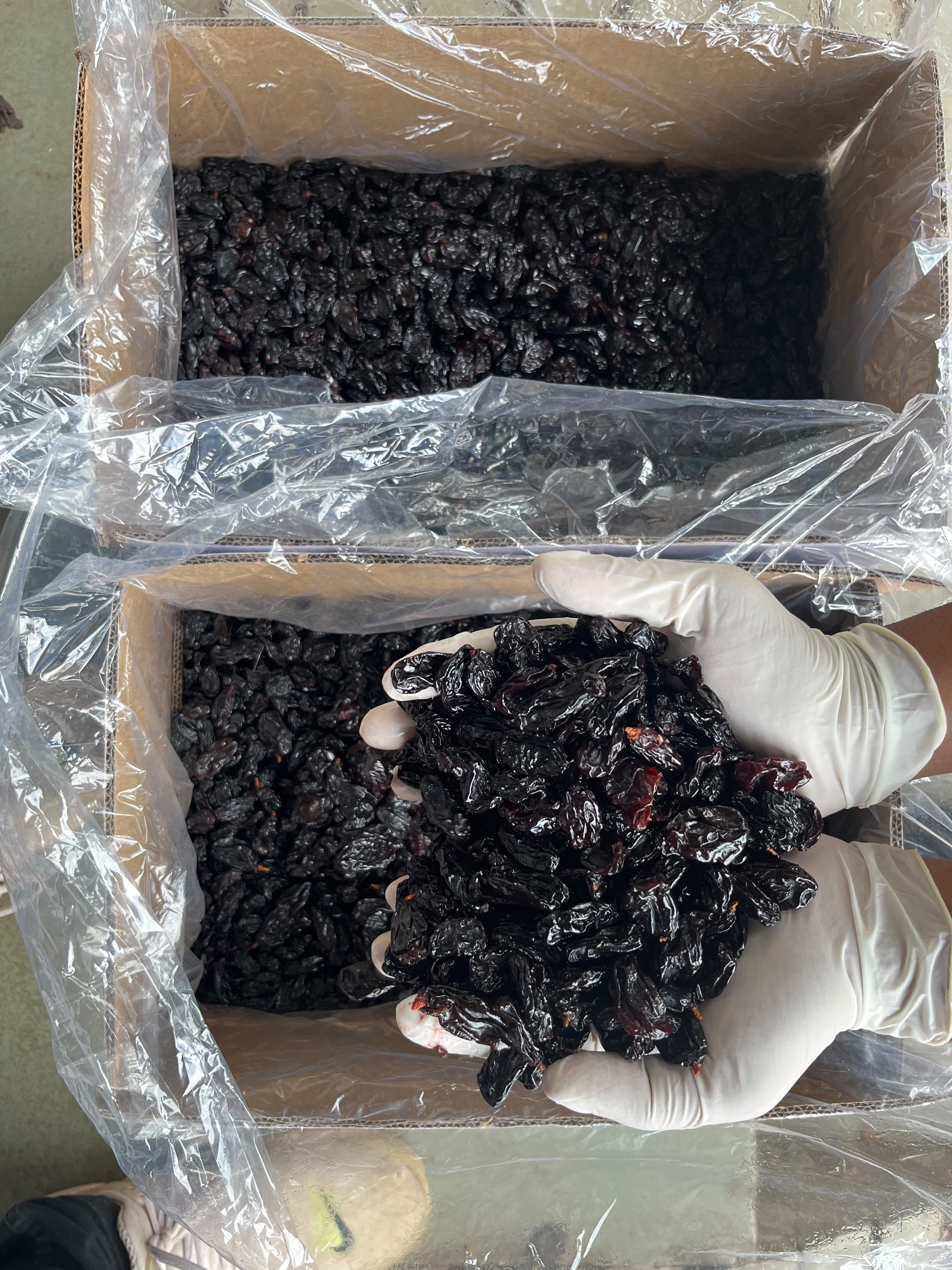 Black raisins packed in cartons